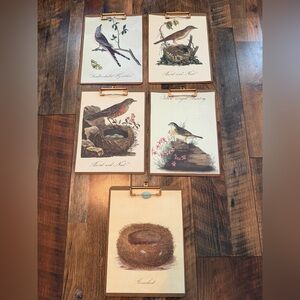 Set of 5 bird botanical prints clipped onto clipboards.
